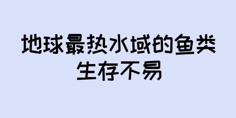 地球最热水域的鱼类生存不易