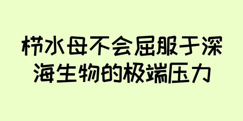 栉水母不会屈服于深海生物的极端压力