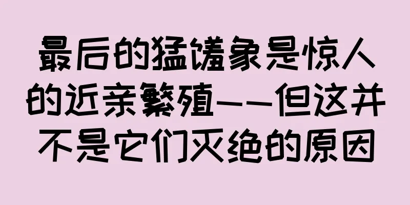 最后的猛犸象是惊人的近亲繁殖——但这并不是它们灭绝的原因