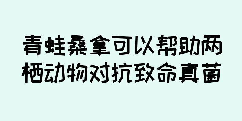 青蛙桑拿可以帮助两栖动物对抗致命真菌