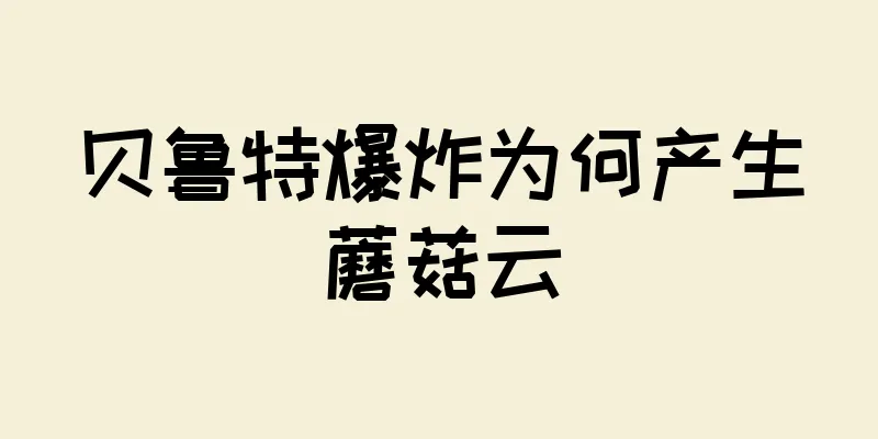 贝鲁特爆炸为何产生蘑菇云