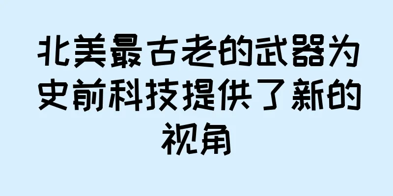 北美最古老的武器为史前科技提供了新的视角