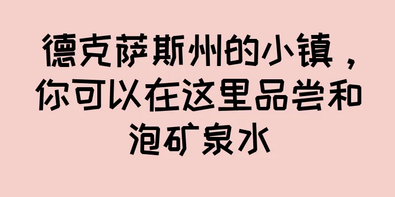 德克萨斯州的小镇，你可以在这里品尝和泡矿泉水