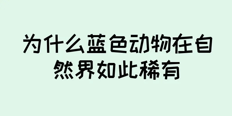 为什么蓝色动物在自然界如此稀有