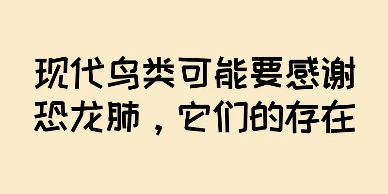 现代鸟类可能要感谢恐龙肺，它们的存在