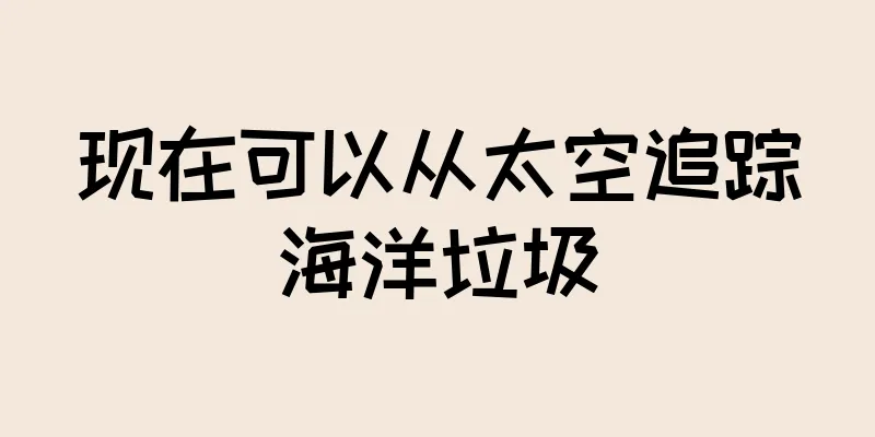 现在可以从太空追踪海洋垃圾