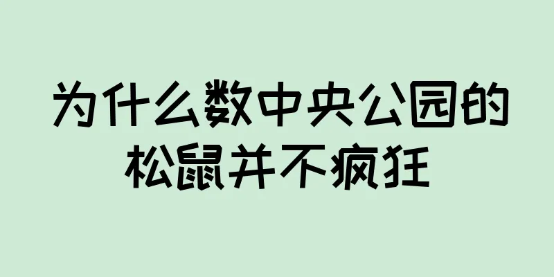 为什么数中央公园的松鼠并不疯狂