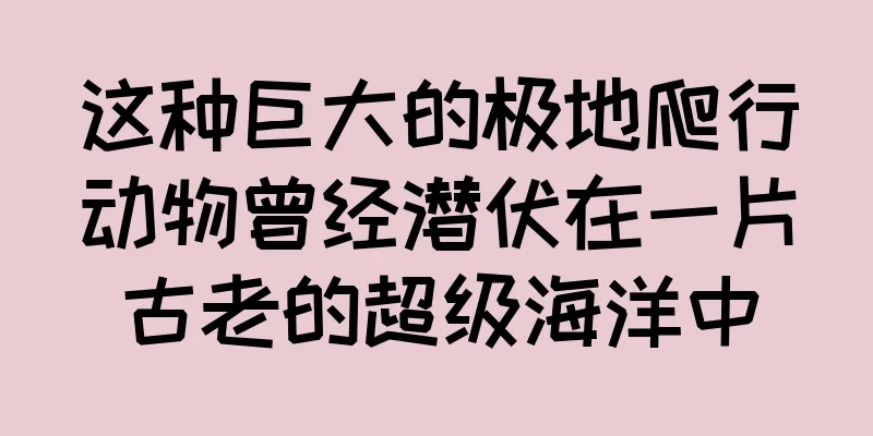 这种巨大的极地爬行动物曾经潜伏在一片古老的超级海洋中
