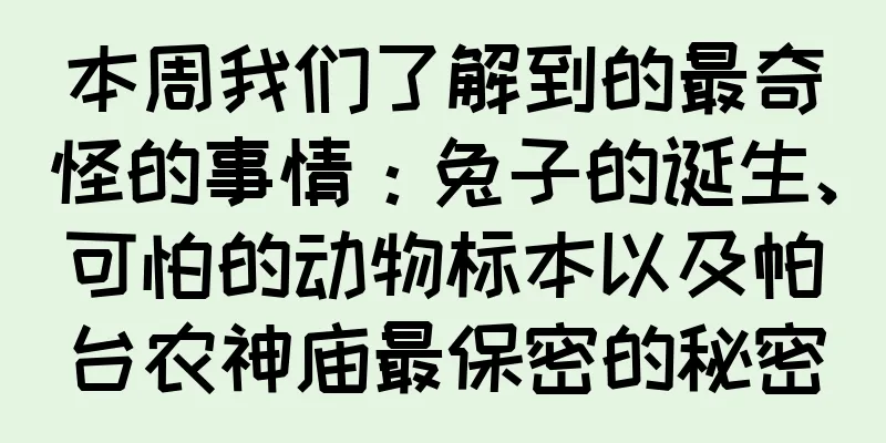 本周我们了解到的最奇怪的事情：兔子的诞生、可怕的动物标本以及帕台农神庙最保密的秘密