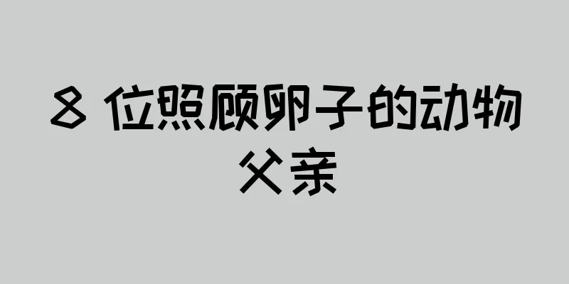 8 位照顾卵子的动物父亲