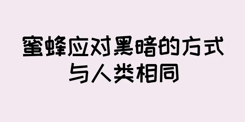 蜜蜂应对黑暗的方式与人类相同
