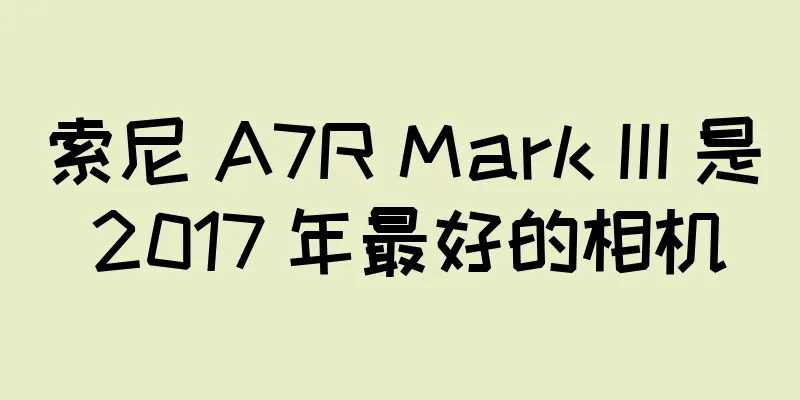 索尼 A7R Mark III 是 2017 年最好的相机