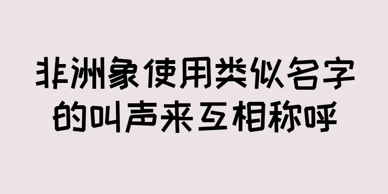 非洲象使用类似名字的叫声来互相称呼