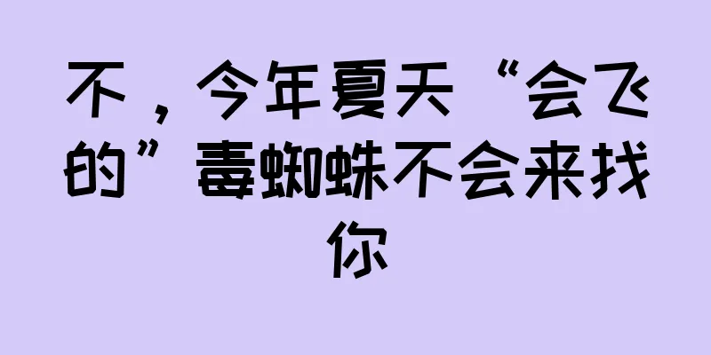 不，今年夏天“会飞的”毒蜘蛛不会来找你