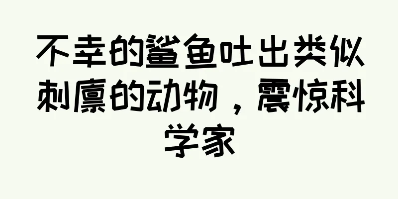 不幸的鲨鱼吐出类似刺猬的动物，震惊科学家