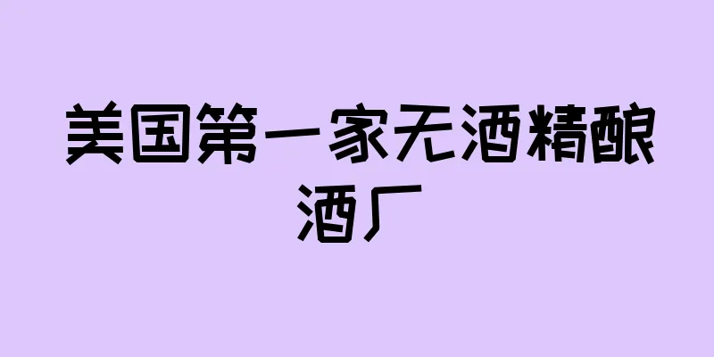 美国第一家无酒精酿酒厂
