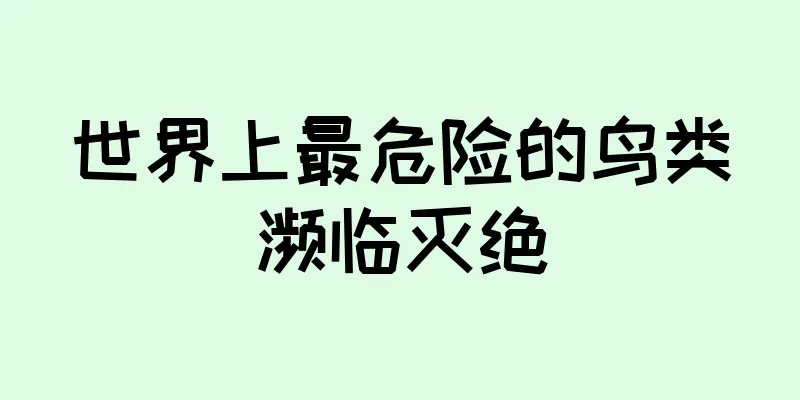 世界上最危险的鸟类濒临灭绝