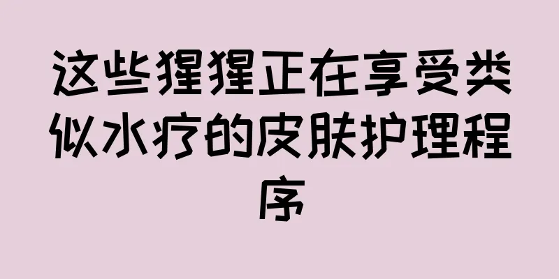 这些猩猩正在享受类似水疗的皮肤护理程序