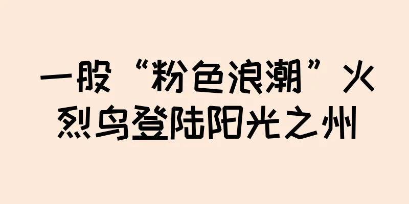 一股“粉色浪潮”火烈鸟登陆阳光之州