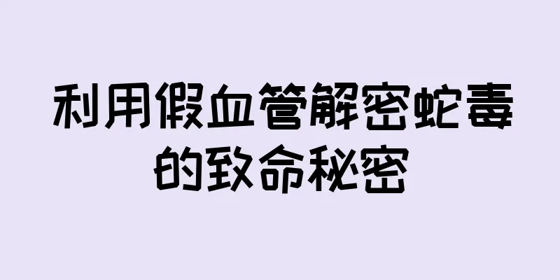 利用假血管解密蛇毒的致命秘密