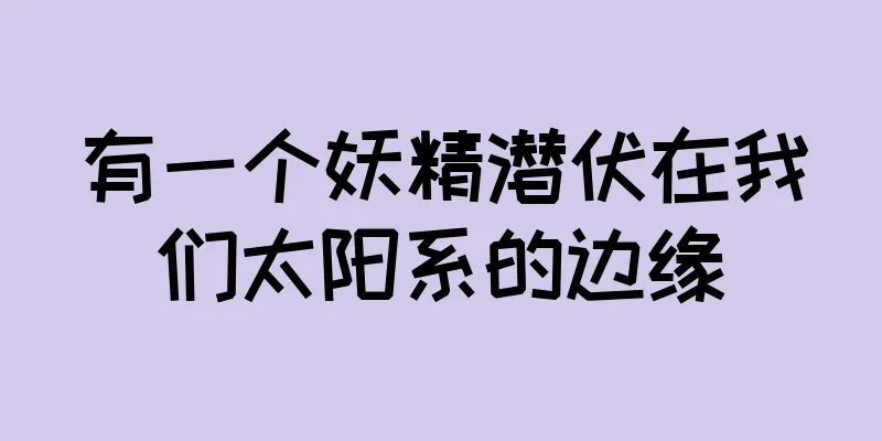 有一个妖精潜伏在我们太阳系的边缘