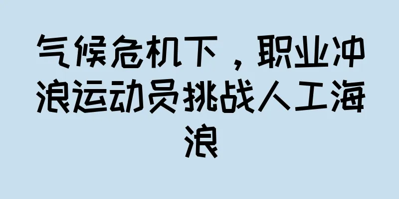 气候危机下，职业冲浪运动员挑战人工海浪