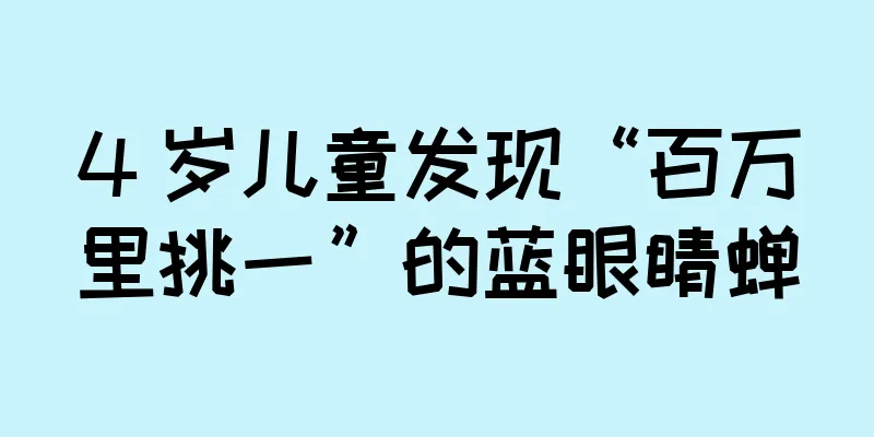 4 岁儿童发现“百万里挑一”的蓝眼睛蝉