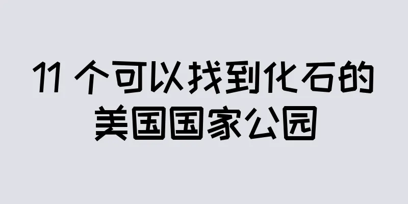 11 个可以找到化石的美国国家公园