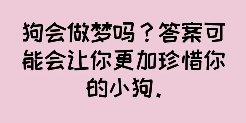 狗会做梦吗？答案可能会让你更加珍惜你的小狗。