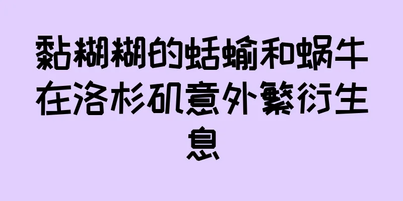 黏糊糊的蛞蝓和蜗牛在洛杉矶意外繁衍生息