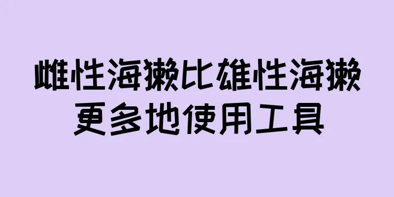 雌性海獭比雄性海獭更多地使用工具