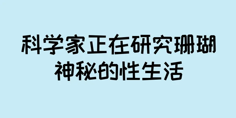 科学家正在研究珊瑚神秘的性生活