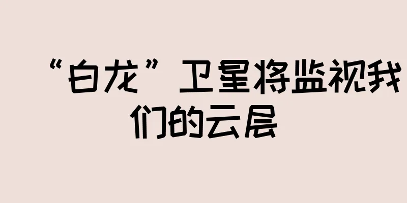 “白龙”卫星将监视我们的云层
