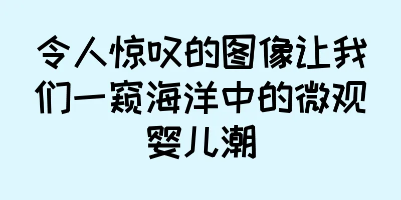 令人惊叹的图像让我们一窥海洋中的微观婴儿潮