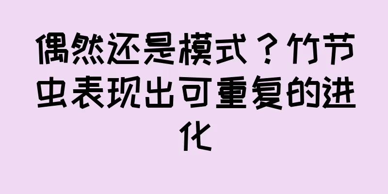 偶然还是模式？竹节虫表现出可重复的进化