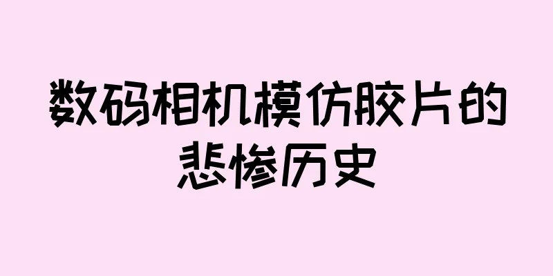 数码相机模仿胶片的悲惨历史