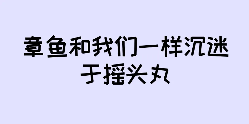 章鱼和我们一样沉迷于摇头丸