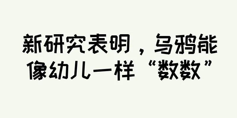 新研究表明，乌鸦能像幼儿一样“数数”