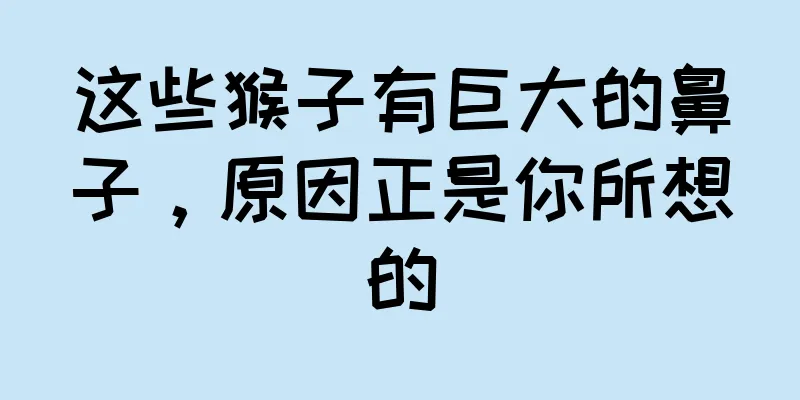 这些猴子有巨大的鼻子，原因正是你所想的