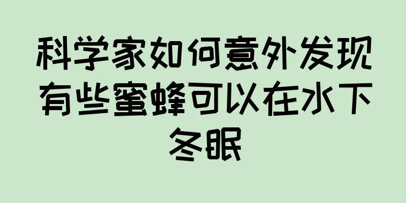 科学家如何意外发现有些蜜蜂可以在水下冬眠