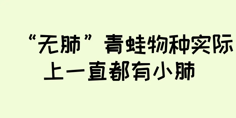 “无肺”青蛙物种实际上一直都有小肺