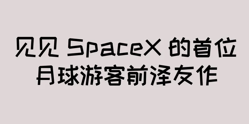 见见 SpaceX 的首位月球游客前泽友作