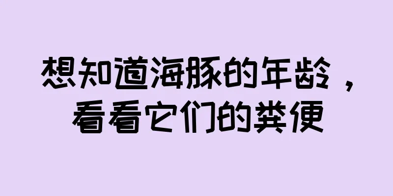 想知道海豚的年龄，看看它们的粪便