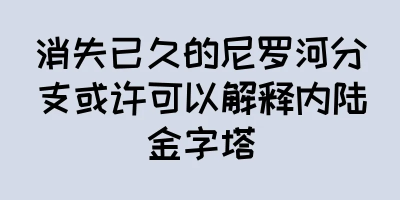 消失已久的尼罗河分支或许可以解释内陆金字塔