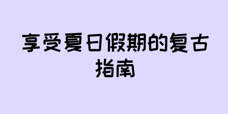 享受夏日假期的复古指南