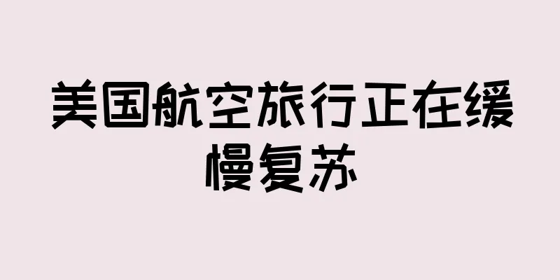 美国航空旅行正在缓慢复苏