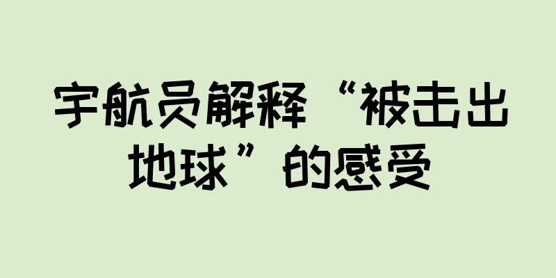 宇航员解释“被击出地球”的感受
