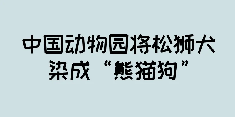 中国动物园将松狮犬染成“熊猫狗”