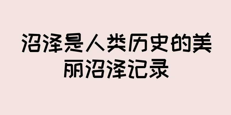 沼泽是人类历史的美丽沼泽记录