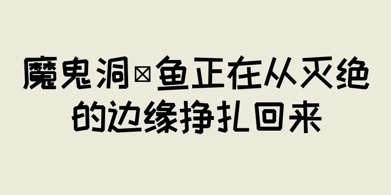 魔鬼洞鳉鱼正在从灭绝的边缘挣扎回来
